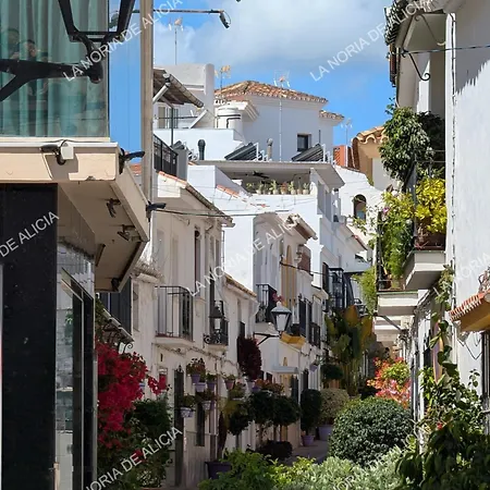 La Noria De Alicia